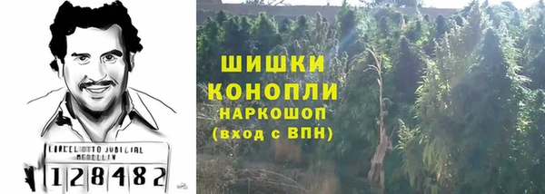 сатива Кулебаки