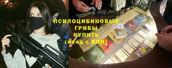сатива Кулебаки