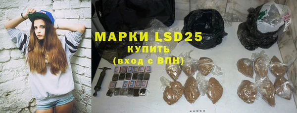 сатива Кулебаки