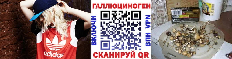 Галлюциногенные грибы Psilocybine cubensis  купить наркотики цена  Барнаул 