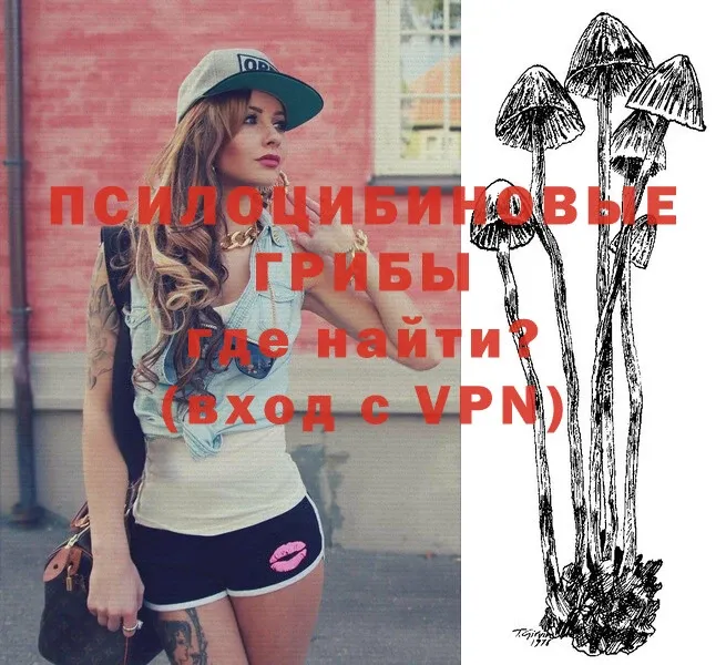 Псилоцибиновые грибы Psilocybe  Барнаул 