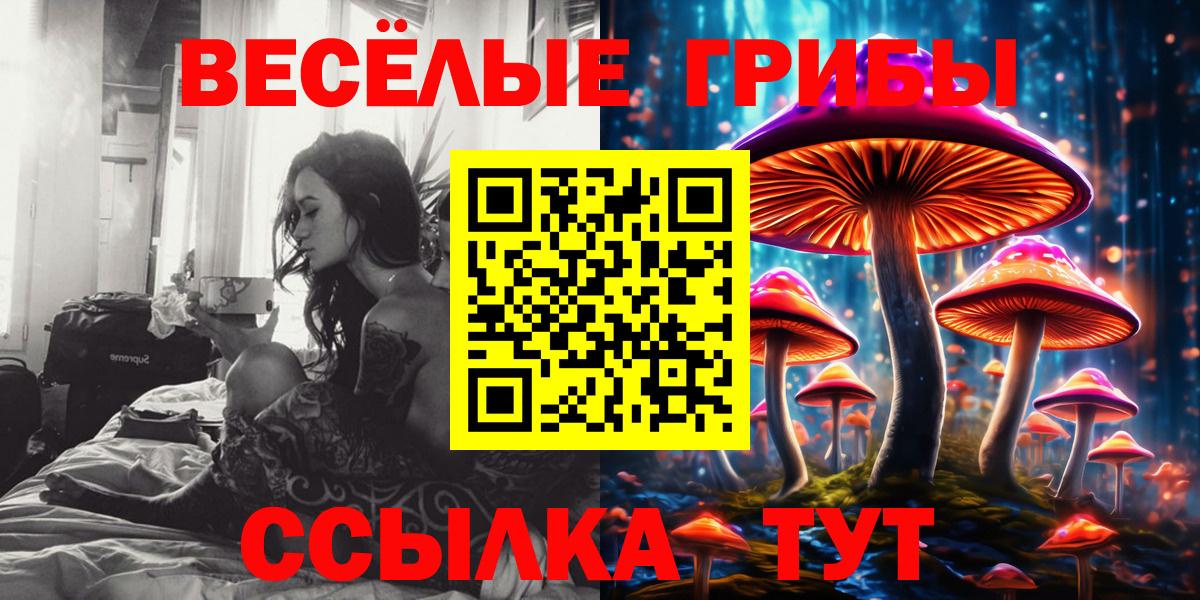 Барнаул  Галлюциногенные грибы MAGIC MUSHROOMS  Вход с VPN 