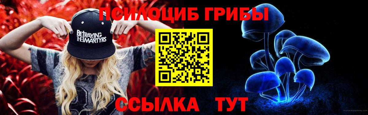 Псилоцибиновые грибы GOLDEN TEACHER Барнаул